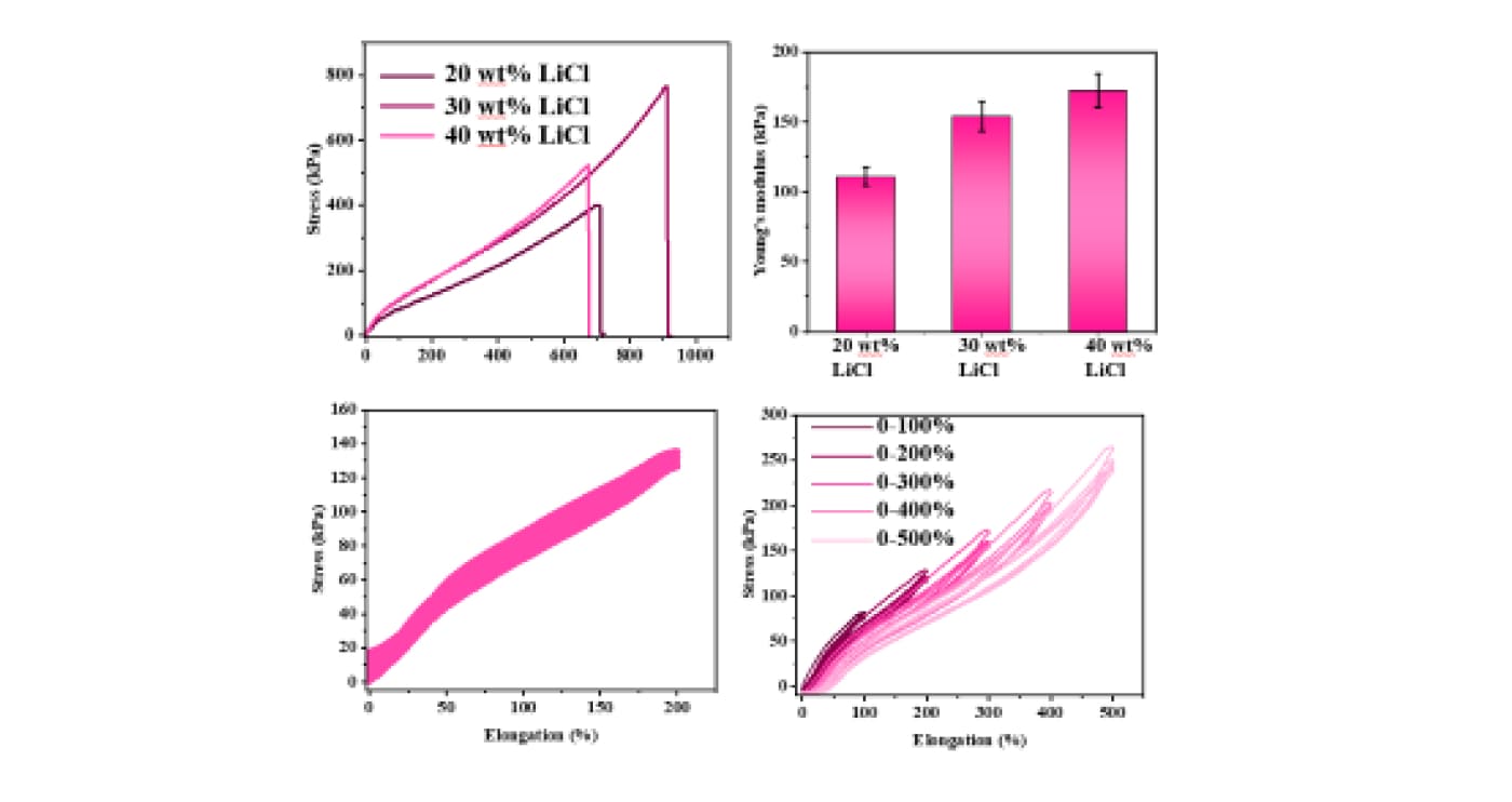 Synthesis of Multifunctional Hydrogels 03